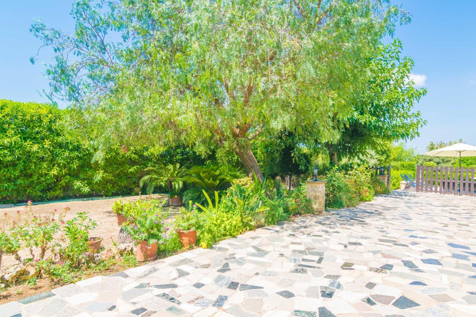 Villa Fernando Manacor  Buitenkant foto